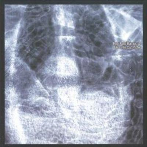 Fear Falls Burning Fear Falls Burning/birchville Cat Motel (CD) Album