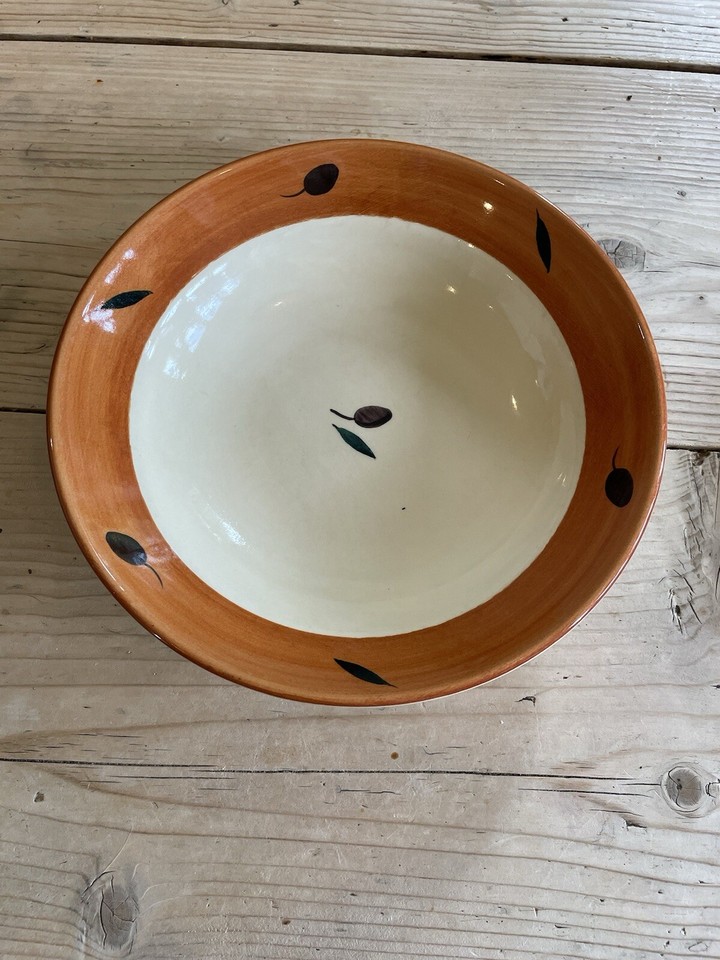 poole pottery fresco terracotta Large Pasta Bowls X 5 Olive Leaf