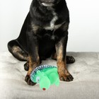 Bild 12 von 12