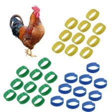 10 Pcs Rooster Collars Anti Hook Noise Free Roosters Neckband for Preventing
