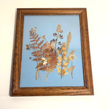 Pressed Flower Framed Art Picture Wood Frame Pressed Flowers and Ferns