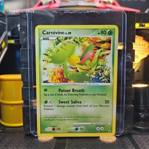 Carnivine Pokemon Card
