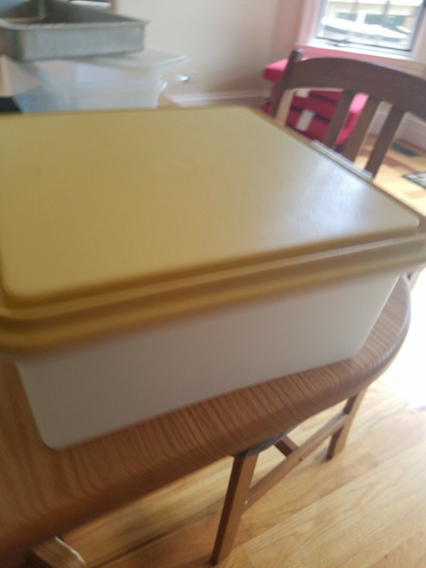 Vintage Tupperware SquareContainer 1242-1W/Almond Lid 1242 -2 11.5" X 11.5" X 6"