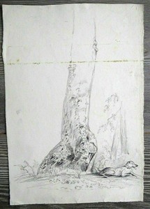 Détails Sur Dessin Crayon à Papier Paul Huet 1803 1869 Etude Tronc Darbre Chien