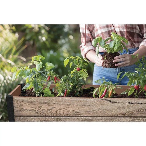 Keter Signature Collection 29 Gal. Resin Elevated Garden Bed - Picture 5 of 6