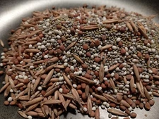 Food Plot Seed Protein Blend Daikon Radish Oats Clover No-Till Wildlife Deer