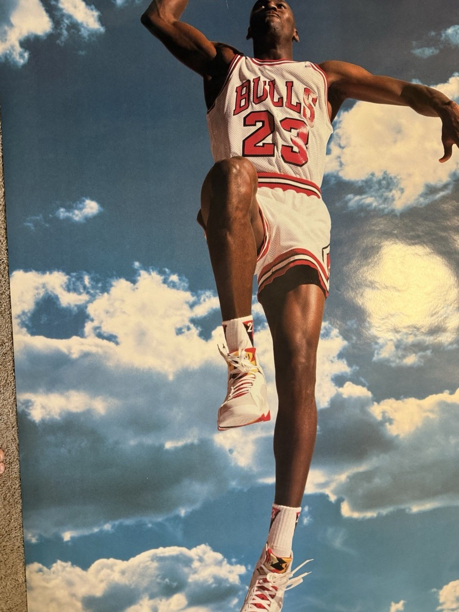【希少】 ナイキ スカイジョーダン ラミネートポスター エアジョーダン RARE! Michael Jordan AIR/SKY Life Size Poster 72X40 VINTAGE
