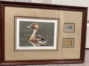 Federal Duck Stamp Prints Framed (3)