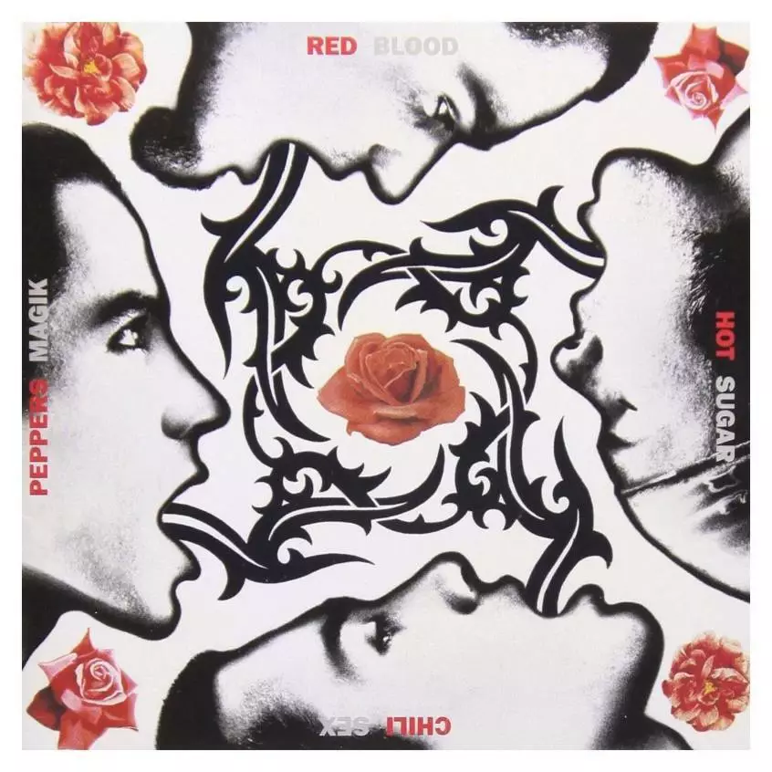Red Hot Chili Peppers Blood Sugar Sex Magik Art Music Album