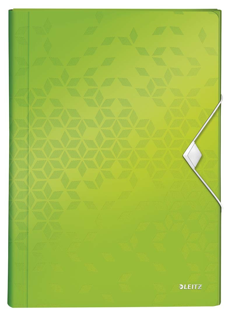 Leitz 45890054 A4 Box File, Holds Up to 250 A4 Sheets, Elastic Closure, Flexible