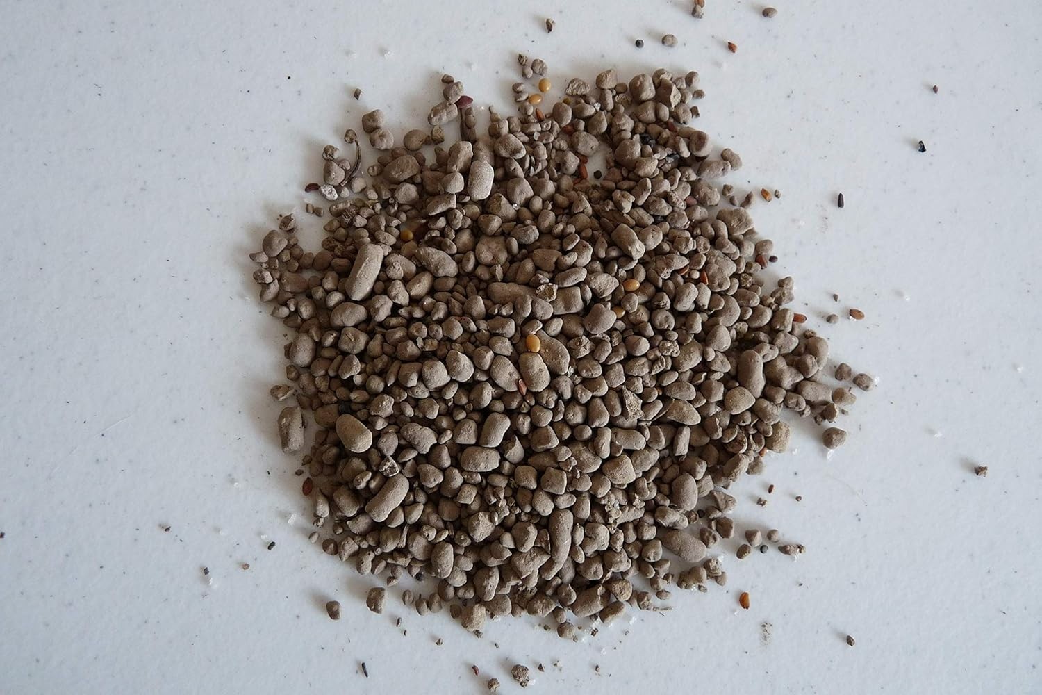 Earth Science Zinnia Wildflower Mix—6lb – 3-in-1 Seeds Plant Food & Soil Cond...