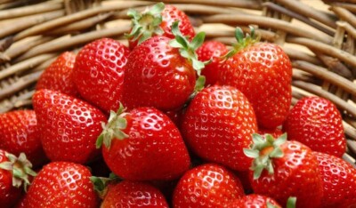 Sweet Strawberry Fraises - 150 Seeds 2026 | eBay