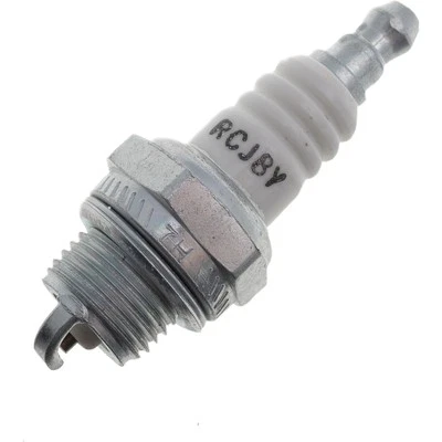 JARDIAFFAIRES Bougie Champion RCJ8Y pour moteur thermique