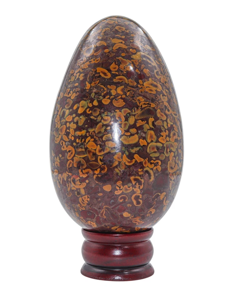 Large 170MM Gorgeous Fossil Coral Jasper Stone Healing Power Metaphysical Egg - Image 3 of 4