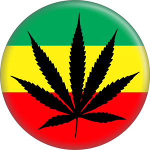 Sorry We/'re Stoned Magnet Marijuana Pot Cannabis 420 Weed MJ CBD THC Novelty