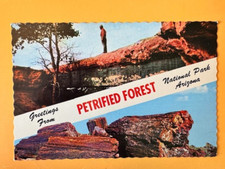 Postcard: Petrified Forest National Park, Arizona, Agate Bridge unposted