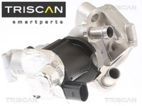 Triscan 881314006 Agr-Ventil AGR Ventil AbgasrüCkfüHrventil