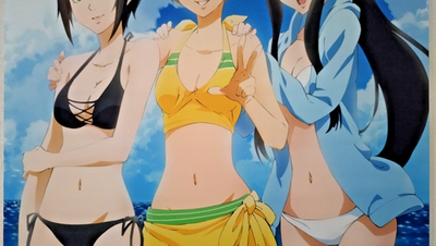 Tapestry Wall scroll] Marie Chie Yukiko Persona 4 B2 size Limited 