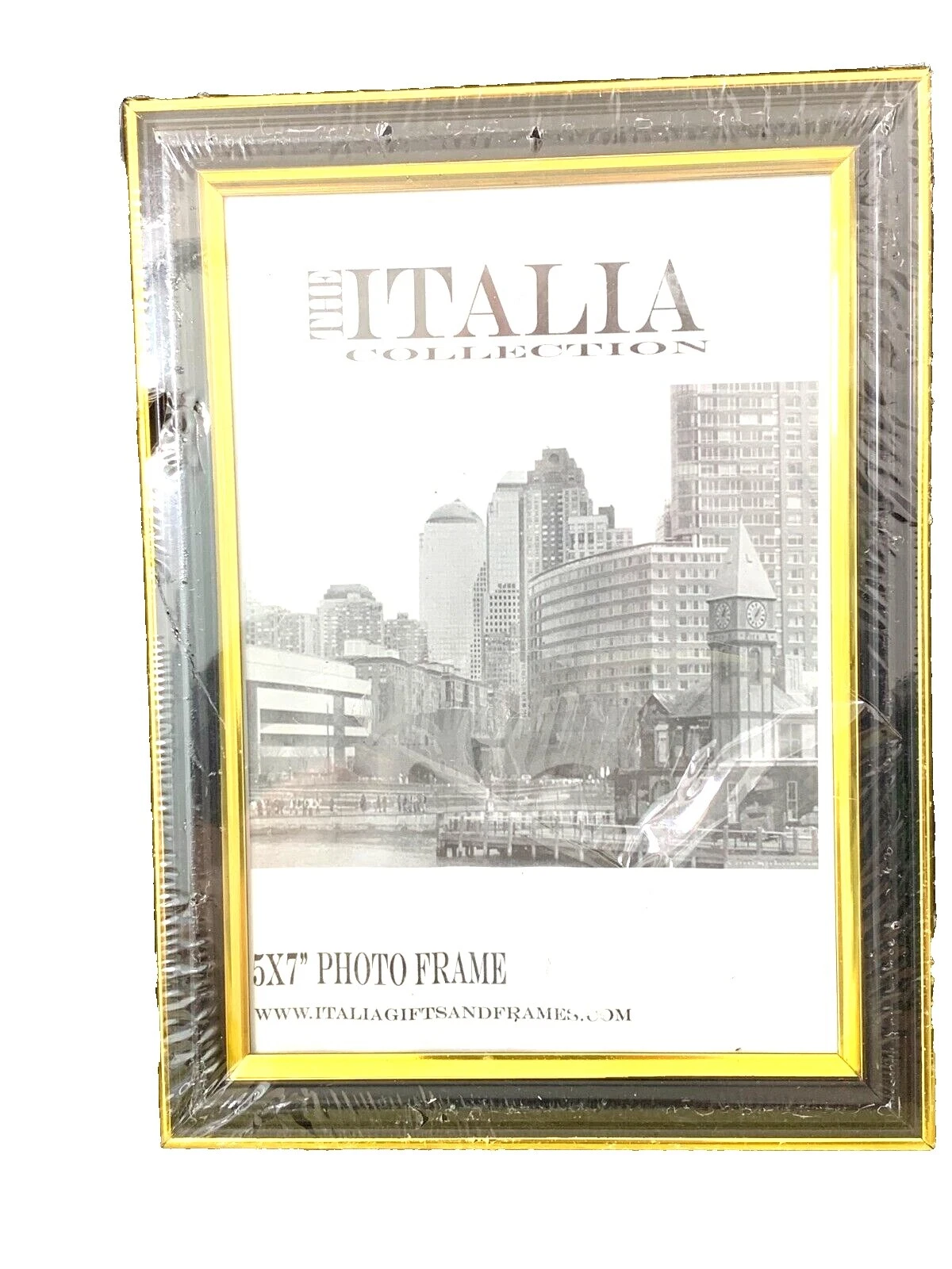 Pinnacle Black Metal Picture Frames