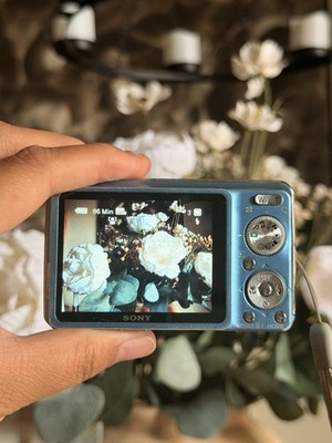 Sony Cyber-shot DSC-W220 12.1MP Digital Camera - Blue TESTED WORKS GREAT