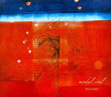 Japanese music CD NUJABES modal soul