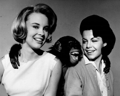 The Monkey's Uncle 1965 movie Cheryl Miller Annette Funicello 5x7 inch photo