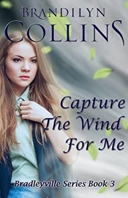Capture the Wind for Me Paperback Brandilyn Collins