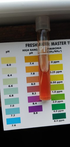 POND MASTER TEST KIT Pond Water Test Kit 500-Test - Picture 14 of 24