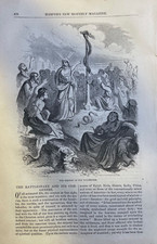 1855 Rattlesnakes illustrated