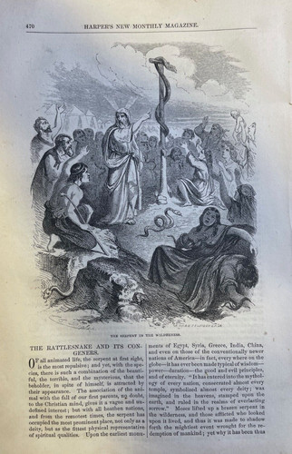 1855 Rattlesnakes illustrated