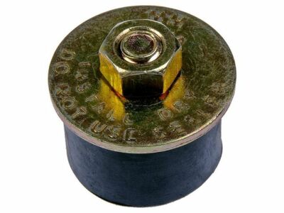 Cylinder Head Plug For Buick Skylark Z836VJ | eBay