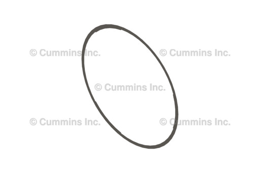 CUMMINS SHIM 3924445, OEM Cummins Part Number 3924445 SHIM 
