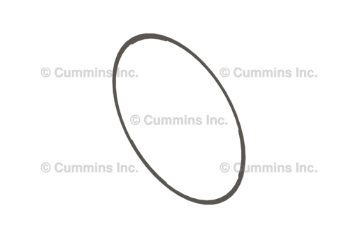 CUMMINS SHIM 3924445, OEM Cummins Part Number 3924445 SHIM  