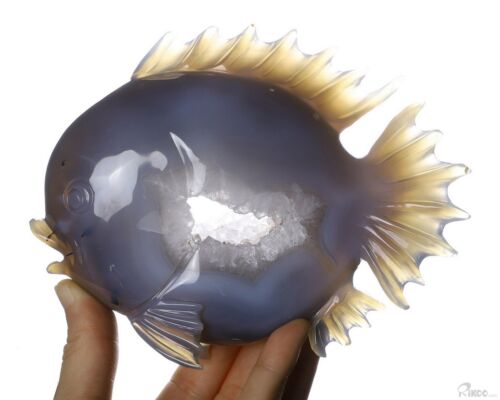 6,7 Zoll Achat Geode handgeschnitzte Kristall Fisch Skulptur, Kristallheilung - Bild 1 von 9
