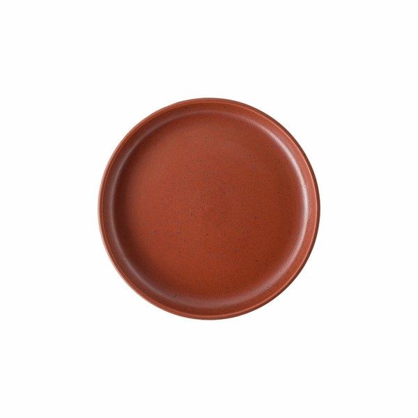 Rosenthal Gourmetteller Joyn Spark, Steinzeug, Rot, 20 Cm, 24120-405302-60970-image