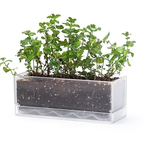 12 Inch Window Box Planter, Rectangle Plastic Herb Planter with Drainage