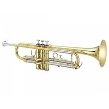Brand New Woodwind Instruments with Accessory Cases, Multiple Models Available