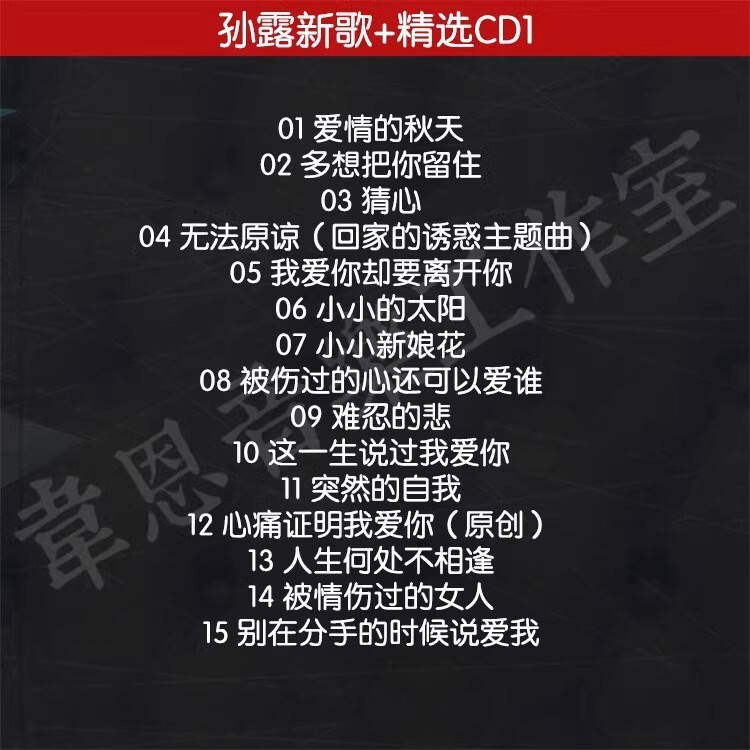 3CD Chinese pop singer Music Songs Car Disc cd 孙露中国发烧
