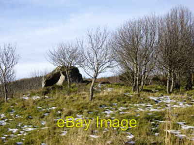 Photo 6x4 A boulder among trees near Bruntland Rhynie/NJ4927 Seen west o c2007