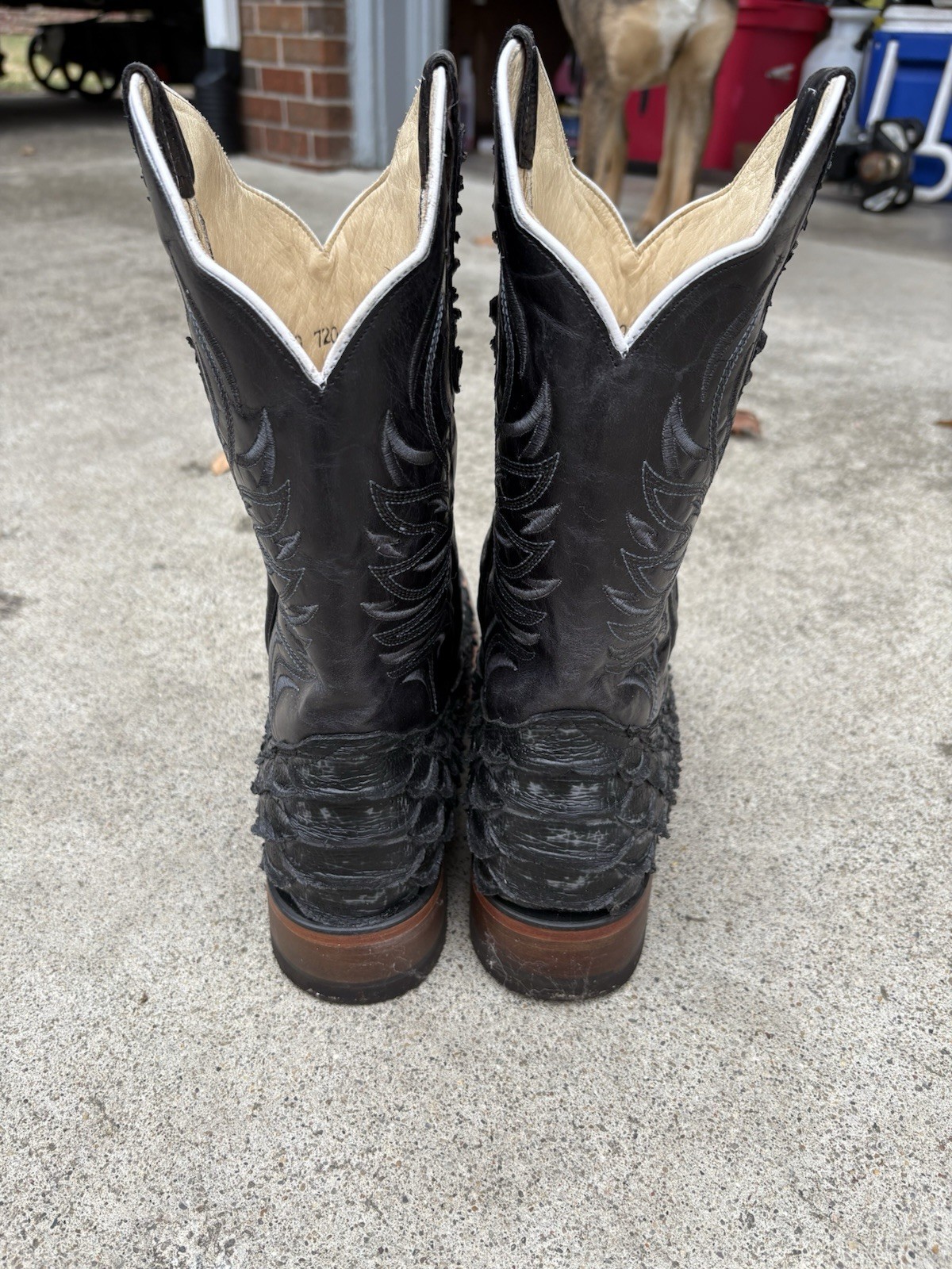 Giant python square toe Cowboy boots 12ee From Al… - image 4