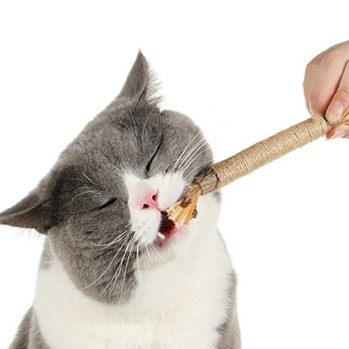 Pawlovers Kitty Dental Chew Stick, 2024 Best Natural Wood Sticks for Cat - Picture 18 of 19