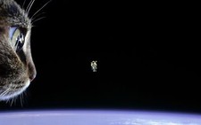 Landscape cats space astronaut Custom Gaming Mat Desk