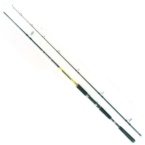 Canna Da Pesca Bolognese EOS 3,00 Metri &ndash; Viaggio, Fondo, Lago, Fiume &ndash; TPS