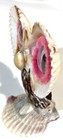 Bild 6 von 6