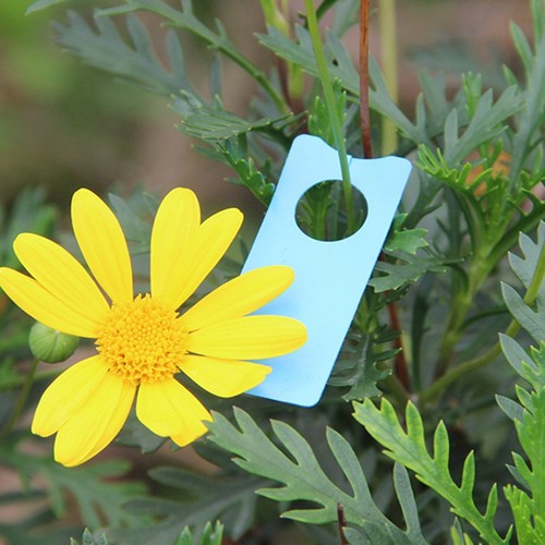 Colorful Hanging Plant Tags for Efficient Garden Plant Identification (500pcs) - Afbeelding 11 van 22