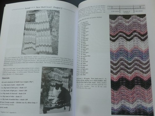 ERBSTÜCK STRICKEN Ein Shetland-Spitzen-Strickmuster & Arbeitsbuch von Sharon Miller - Bild 17 von 22