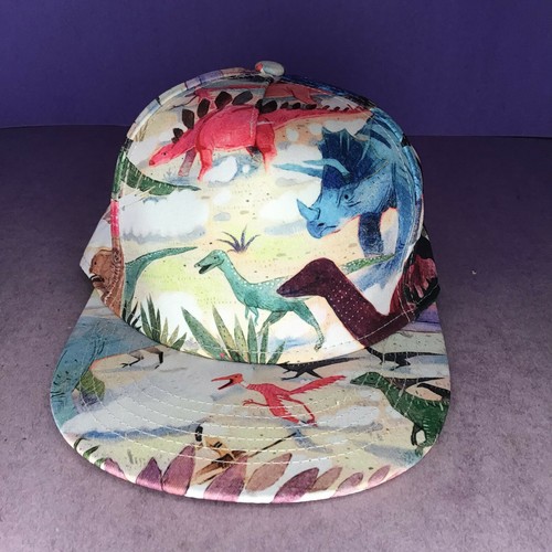 Colorful Cap Hat | eBay