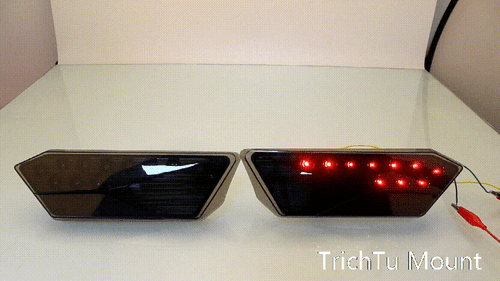 2PCS Rauchgläser Rote LED Rücklichter Für RZR XP 1000 RZR Trail Ultimate 2021-25 - Picture 2 of 24
