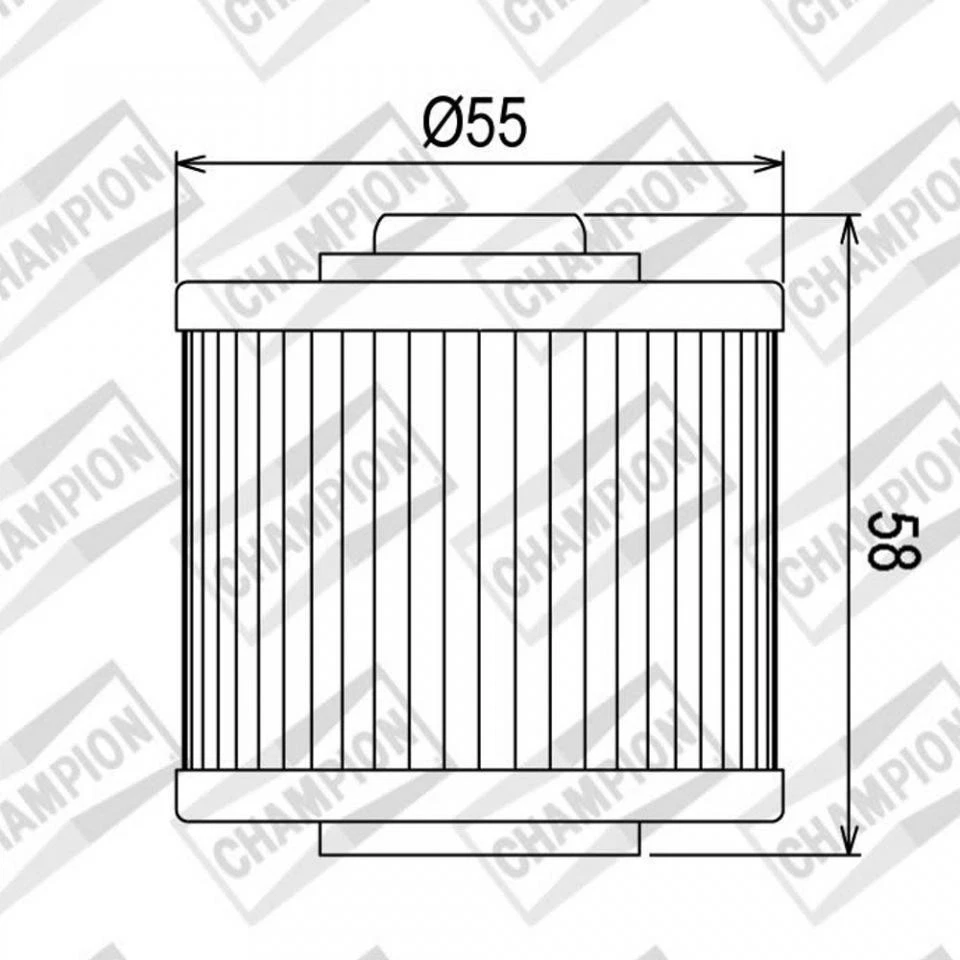 Filtre à huile Champion pour Moto Aprilia 750 SMV DORSODURO ABS 2008 à 2016 Neuf - Photo 3/4