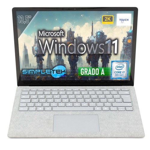 Microsoft Surface Pro 8 Ordinateur Portable (Windows 11,écran tactile 13'', 16 Go RAM, 256 Go SSD, Intel Core i7) Graphite